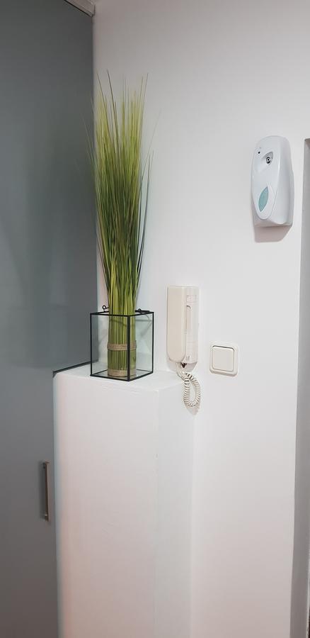 Nice Apartment Apartment *